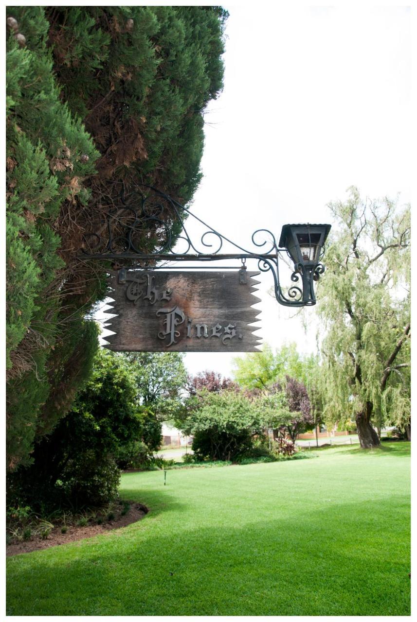 Shady Pines Guest House Harrismith Exteriér fotografie